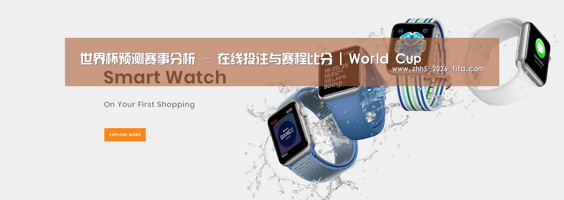 某某网络科技有限公司