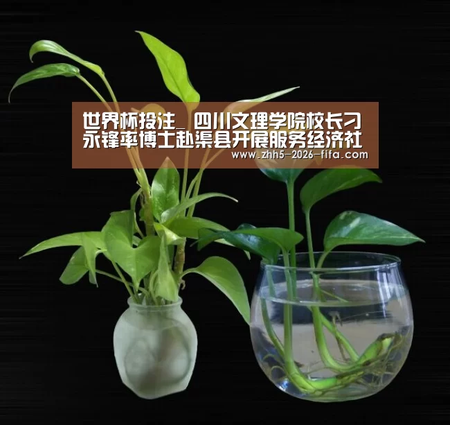 世界杯投注_
四川文理学院校长刁永锋率博士赴渠县开展服务经济社会生长调研(图1) 世界杯投注