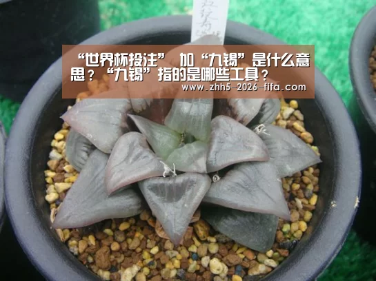 “世界杯投注”
加“九锡”是什么意思?“九锡”指的是哪些工具?(图1) 世界杯投注