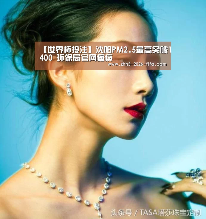 【世界杯投注】沈阳PM2.5最高突破1400 环保局官网瘫痪(图1) 世界杯投注