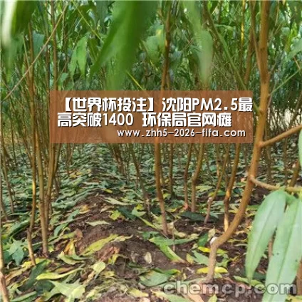 【世界杯投注】沈阳PM2.5最高突破1400 环保局官网瘫痪(图4) 世界杯投注