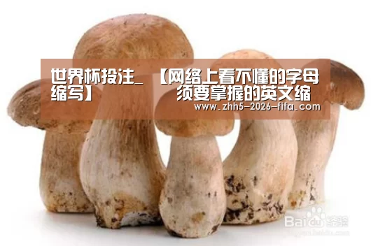 世界杯投注