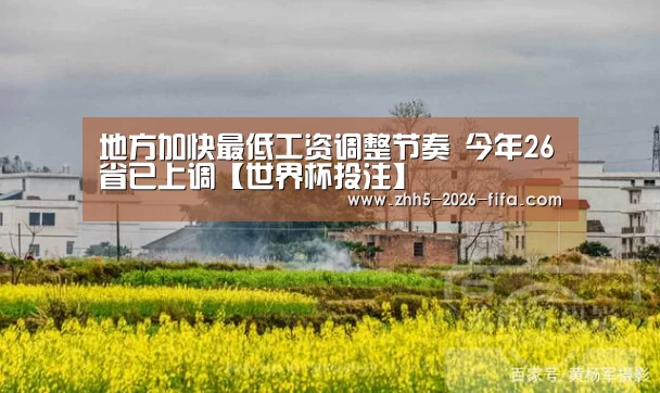 地方加快最低工资调整节奏 今年26省已上调【世界杯投注】(图3) 世界杯投注